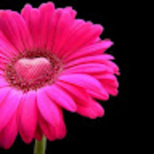 Meet your Posher, Mayra